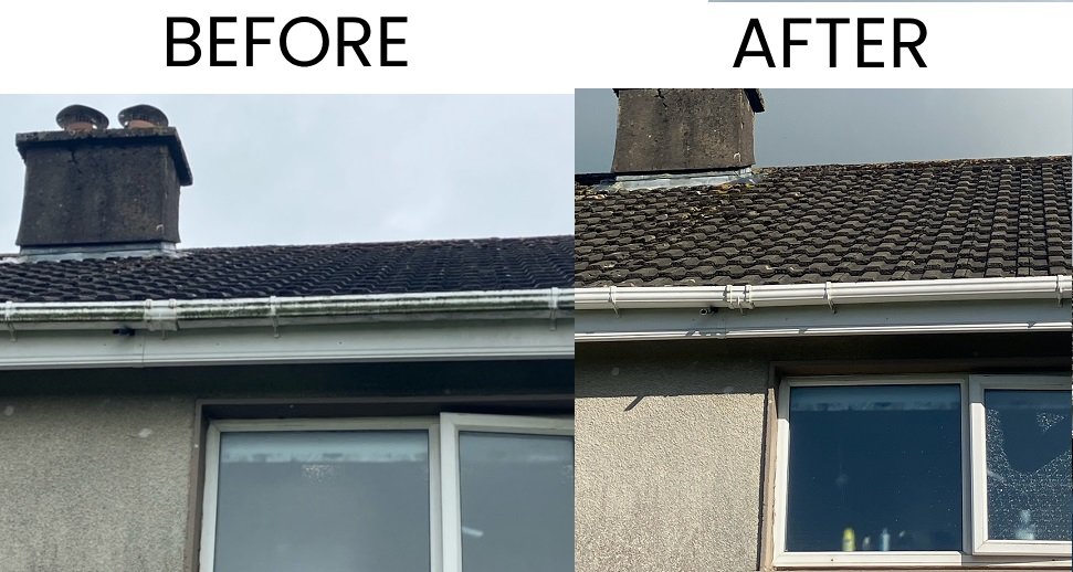 fascia and soffit cleaning